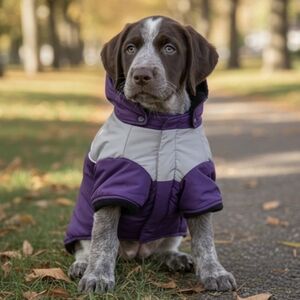 Dog Jacket, Purple and Gray (DG11)